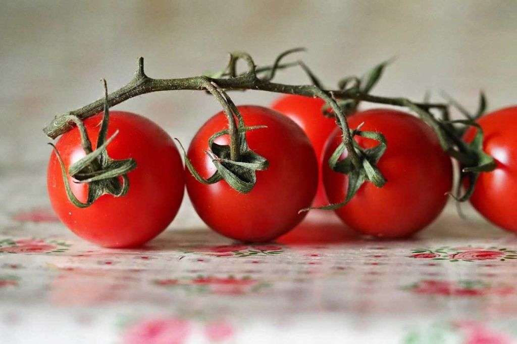 I pomodori fanno parte della Dirty Dozen, la sporca dozzina