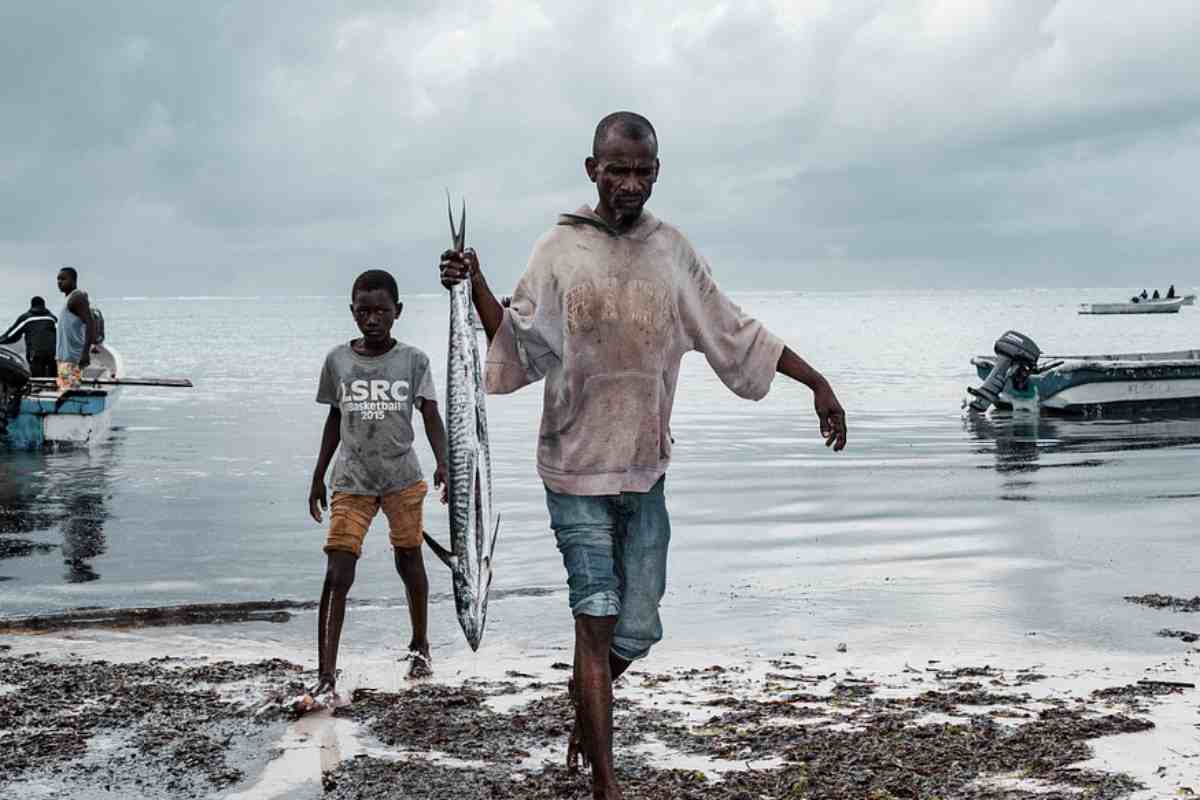 L'attività ittica del Paese fa crollare l'economia