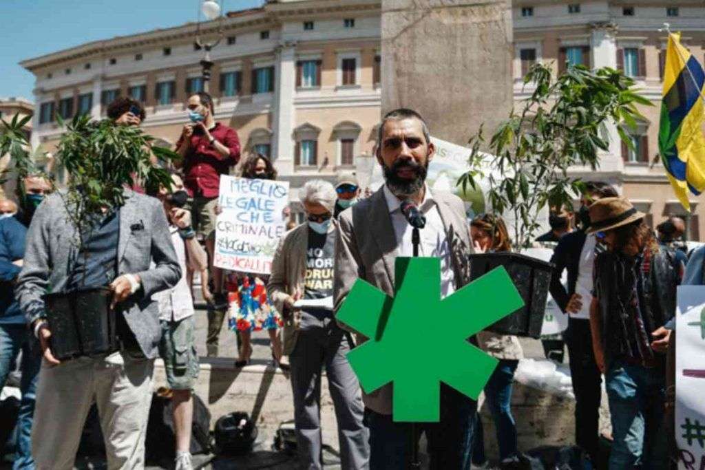 Mantero in prima linea per la liberalizzazione della canapa